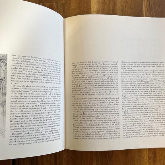 Vintage Softcover - Michelangelo, The Colour Library of Art Paperbacks - Picture 7 of 8